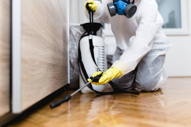 Best Pest Removal Services  in West Union, IA