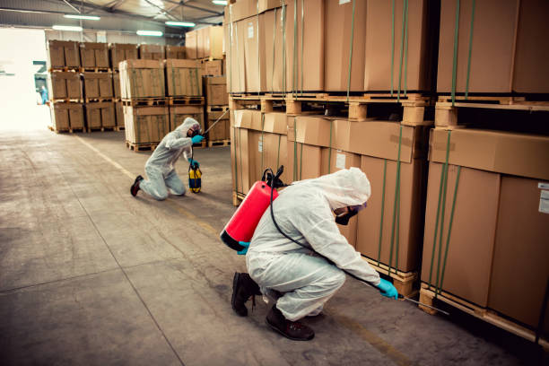 Best Residential Pest Control  in West Union, IA