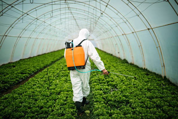 Best Pest Control Cost  in West Union, IA