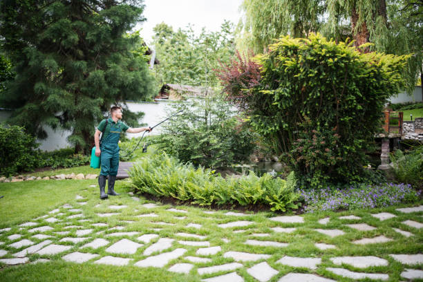 Pest Prevention Services in West Union, IA