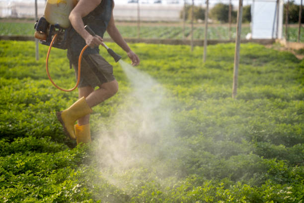 Best Pest Control for Homes  in West Union, IA
