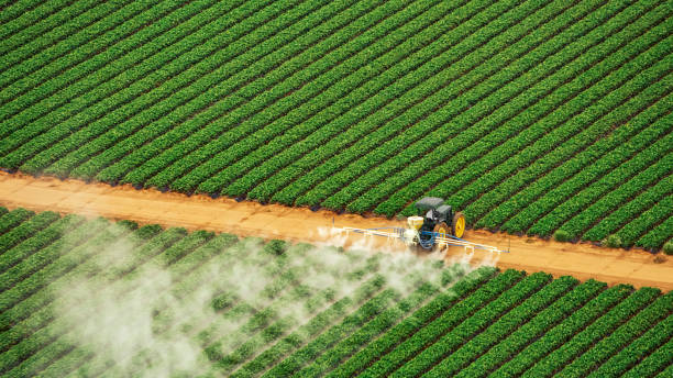 Best Pest Control for Businesses  in West Union, IA