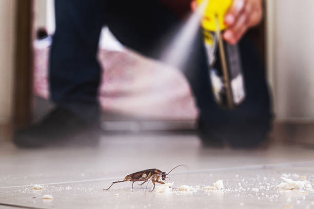 Pest Control for Restaurants in West Union, IA