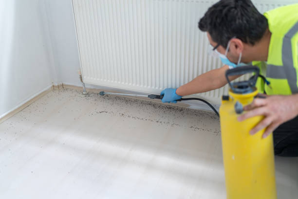Best Best Pest Control Companies  in West Union, IA