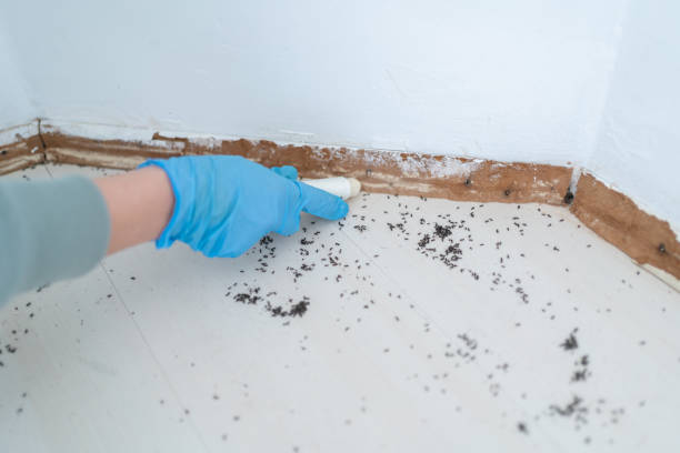 Best Pest Inspection Near Me  in West Union, IA